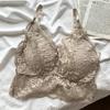 French Underwear Women's Beautiful Back Top Top Halter Vest Integrated Thin Sexy Lace Internet Celebrity Burst Together