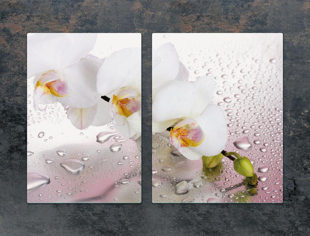 GLAS-SCHUTZPLATTE 75x52 ORCHIDEE