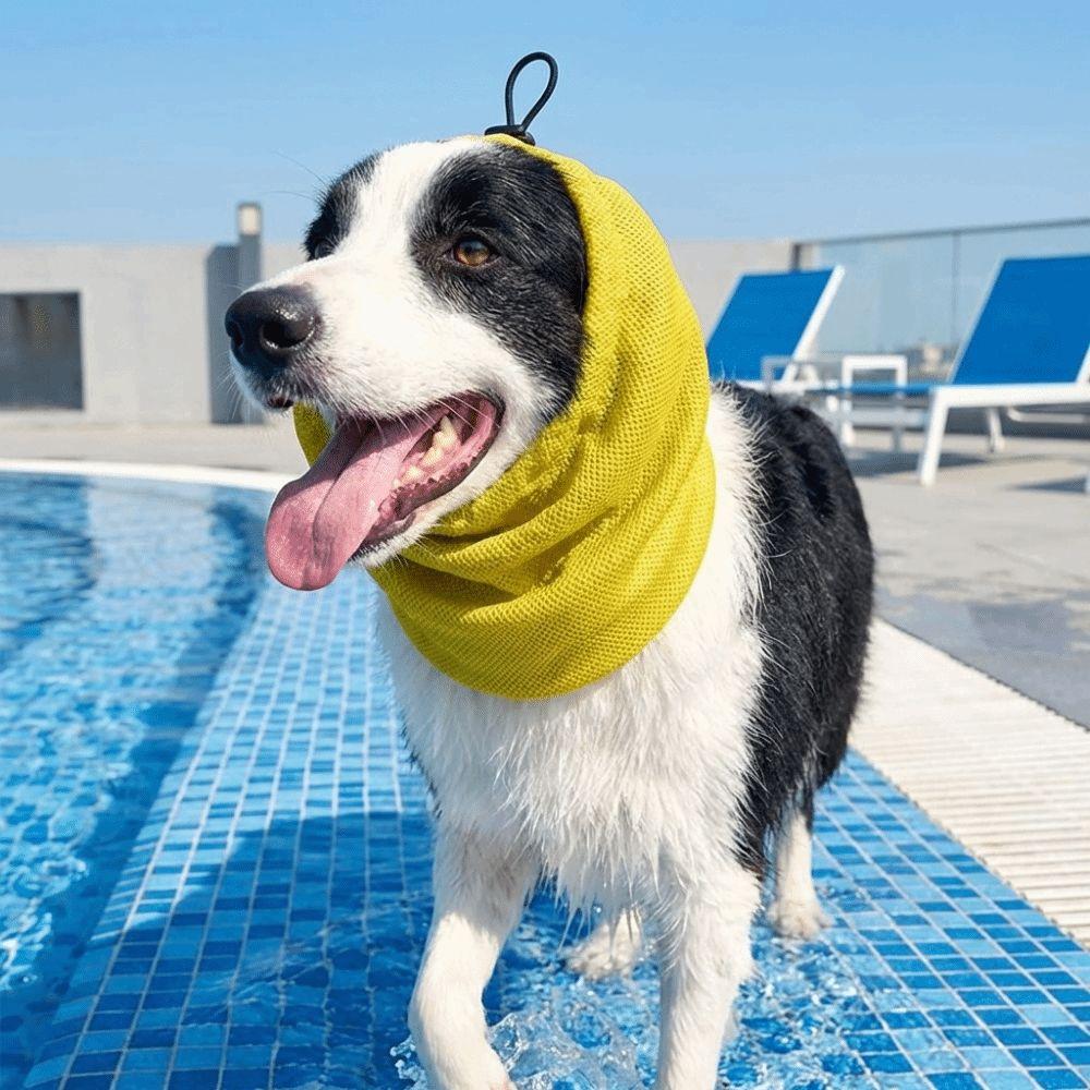 Quick Dry Pet Dog Earmuffs Elastic Mesh Dog Ear Cover Comfortable Pet Neck Gaiter  Dog Walking