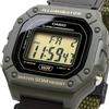 Casio Standard Digital Watch W-218HB-3AV (Green)