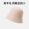 Premium sense bucket hat autumn and winter women's new wool hat winter warm basin hat show face small bucket hat