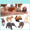 Cheetah Small Animal Model Collection Pvc Miniatures For Diy Projects And Home Decor