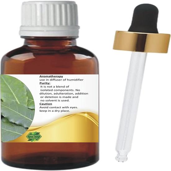 Levenmooi Bay Laurel Leaf (Laurus Nobilis L.) Pure & Natural Therapeutic Grade Essential Oil Glass
