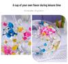 Luxury Double-Layer Glass Cup with Real Flowers and Quicksand Design