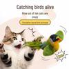 Self-Swinging Cat Toy: Feathered Bird Stick for Bite-Resistant, Interactive Play. Ideal for Kitten Amusement.