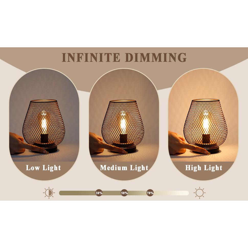 Set of 2 Rechargeable Battery Operated Lamp LED Table Lamp Metal Cage Cordless Lamps with LED Bulb
