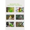 Birds Can Use Hanging Rings, Parrot Swing Toys with Bells, Sturdy and Durable, Additions for Birdcages