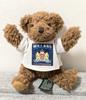 [USED] Retro Teddy Bear, Teddy Bear, Stuffed Animal, Mascot