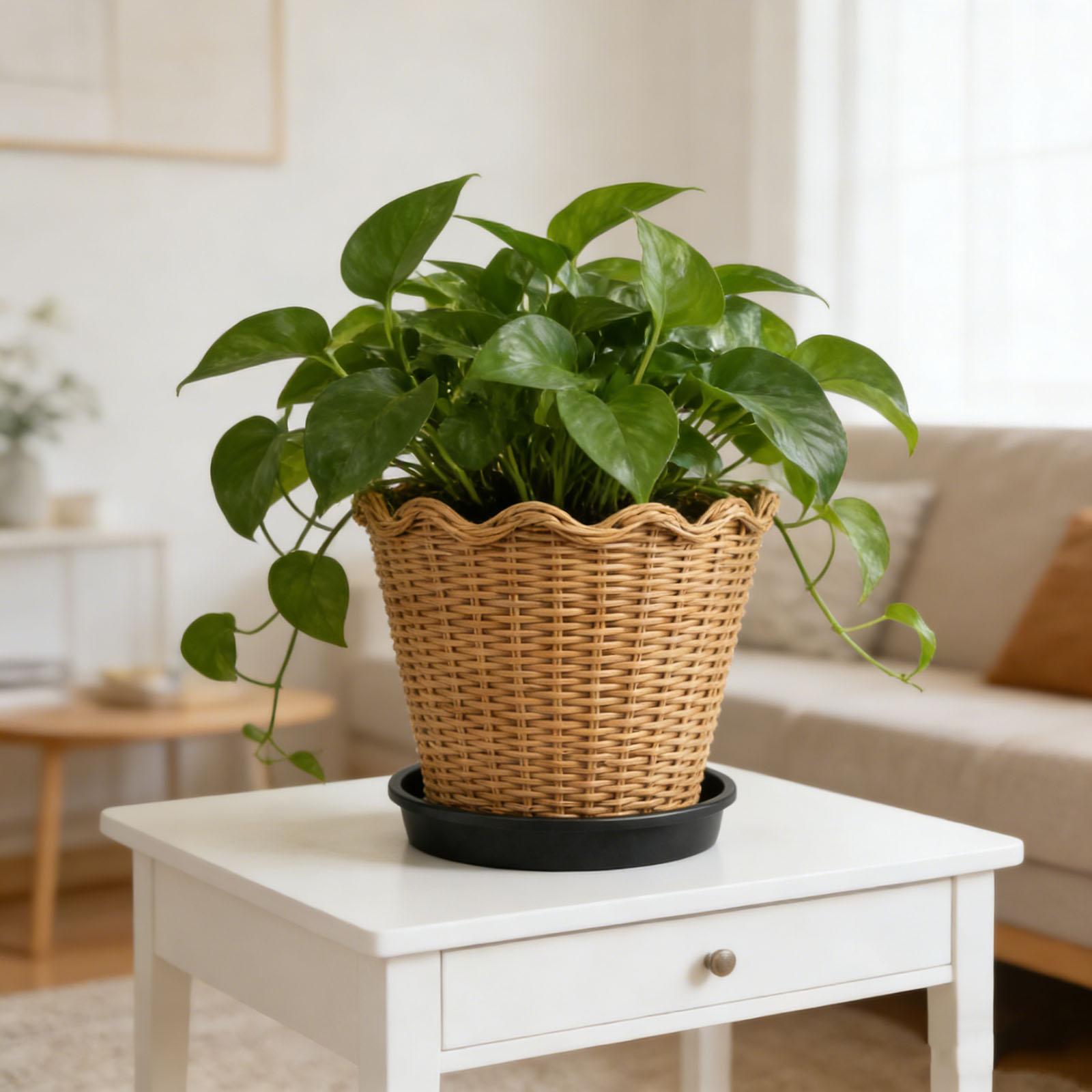 

Woven Flower Pots For Home Decoration, Potted Plants One Size