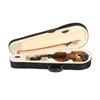 1/8 Acoustic Violin With Box Bow Rosin Natural Violin Musical Instruments Children Birthday Present