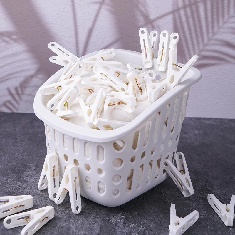 Multi-Purpose Laundry Clips Set - Clips for Bedding & Mini Clips for Socks, Underwear, Clothes Hanging Organizer Household Use