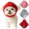 Giyim ve ayakkabı – Köpek için şapkalar