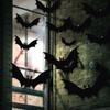 Glow In The Dark Eyes Halloween Bat Decorations 12 Pack Outdoor Bat Ornaments  Halloween Party