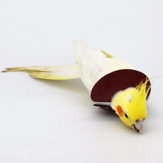 Регулируемый ошейник для восстановления попугая, защита от укусов и травм, фиксирующая лента, ошейник для птиц, аксессуар для домашних птиц