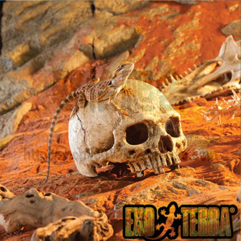 Human Skull  Model Fishtank Aquarium Landscaping Accessories For Scorpion Spider Lizard Snake