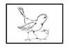 Picture Poster In a Frame 53x73 Cm Bird P1061