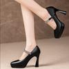 Fashion FHC 2024 New Leather Women Platform Pumps, High Heels Shoes,Front Rhinestone Ankle Buckle Strap,34-40,Black,Beige,Dropship