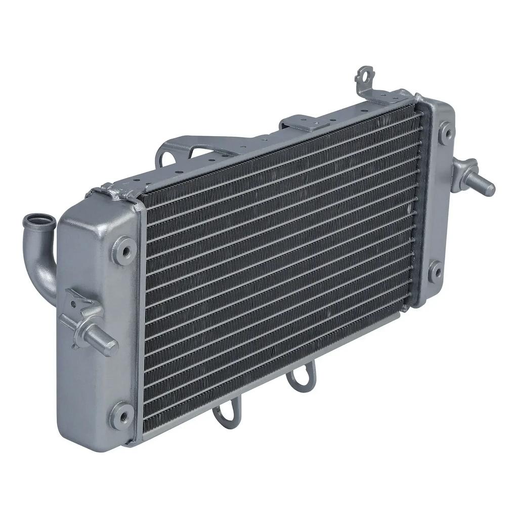 Radiator Cooler W/ Fan For Suzuki GW250 2012-2020 2019 GSX250R Motorcycle Acsessories Accessory