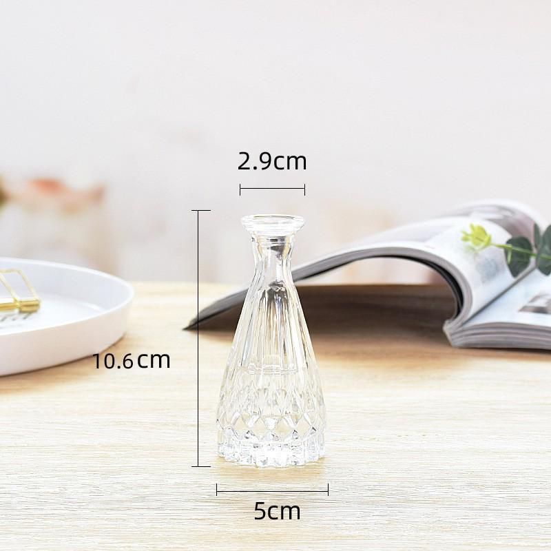 European Glass Vase for Fresh or Dried Flowers - Elegant Hydroponic Decoration Ornament