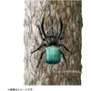 Takara Tomy Ania AS-39 Caucasian Beetle Insect Toy for Ages 3 and Up