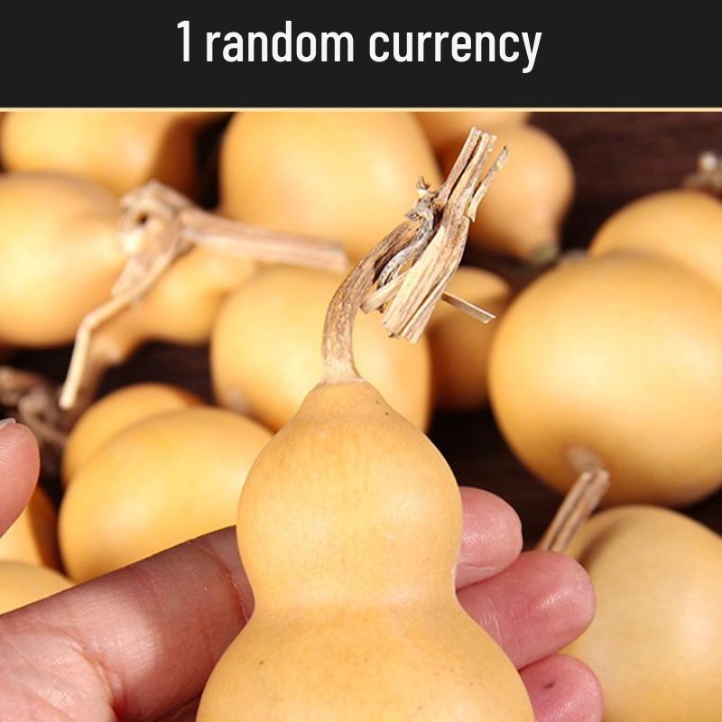 Biao Yun Dragon Head Gourd Handheld Ornament - Miniature Wenwan Collection Piece