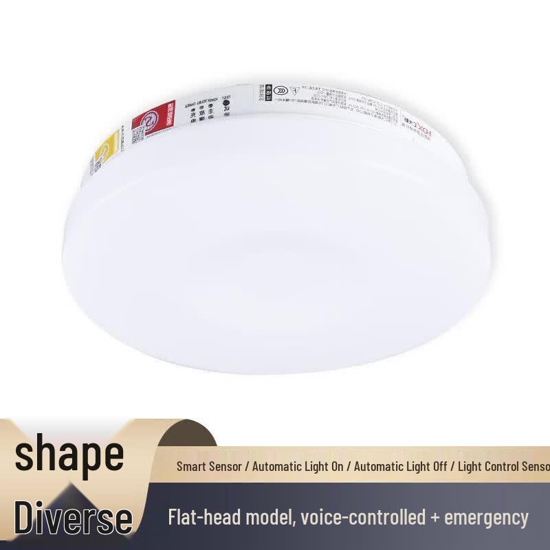 Guan an LED Emergency Sensor Ceiling Light