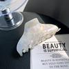 Hair Clip Fresh Acetate Hair Claw Solid Color Tortoiseshell Hair Claw Printing Shark Clip  Girls