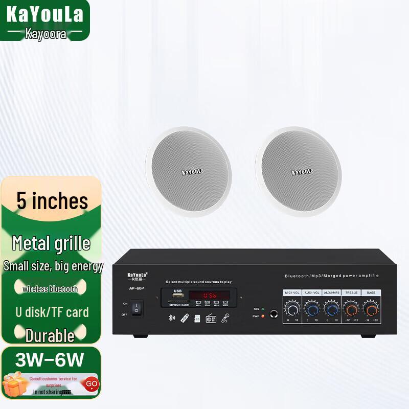 KaYouLa Conference Audio/Video Ceiling Speaker System (CN version)