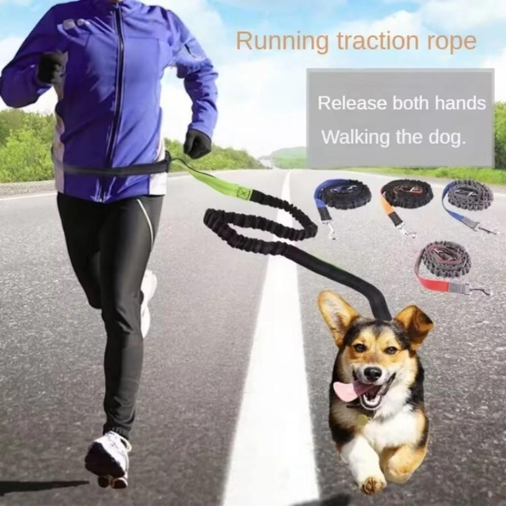 Reflective Pet Walking Leash Double Stretch Hand Free Dog Leash Dog Traction Rope  for Dogs Cats