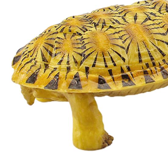 Turtle Cognitive Toys Adorable Delicate Plastic Galapagos Tortoise Decoration Model for Kids