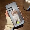 Cute Cockapoo Dog For OnePlus 15 13 12 11 15R 13R 12R 8T 10T 13T Case For OnePlus Nord 5 CE 2 3 4 Lite N20 N30