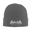 Berserks Letter Logo Warm Knitted Cap Winter Knit Bonnet Hat Skullies Beanies Hip Hop Caps for Unisex