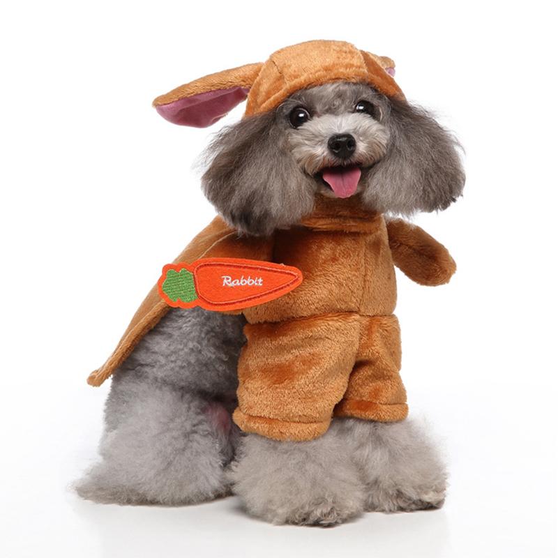 Funny Dog Winter Clothes Dog Cat Set Cosplay Costume Chucky Dog Keeping Warm Costume Suitable Small Medium Dogs Dachshund Teddy