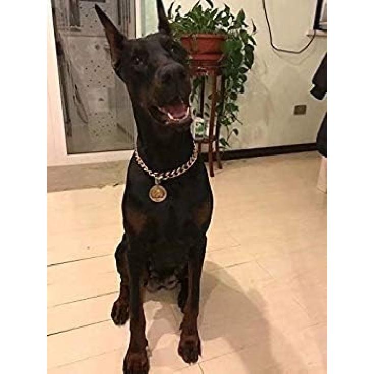 Chain Dog Collar 18K Gold Cuban Link Dog Chain Chain Collar Metal Stainless Steel Heavy Duty Slip Dog Collars for Small, Medium, and Large Dogs(15MM,