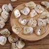 10pcs/set Irregular Shape Natural Shell Buttons with Two Holes for DIY, Clothing Accessories, Etc