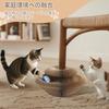 Kitty Kurlz Magic Organ Cat Scratch Board with Bell Foldable Accordion Design Cat Scratcher for Indoor Accordion Cat Magic Organ Cat Pink Ball, Cats,