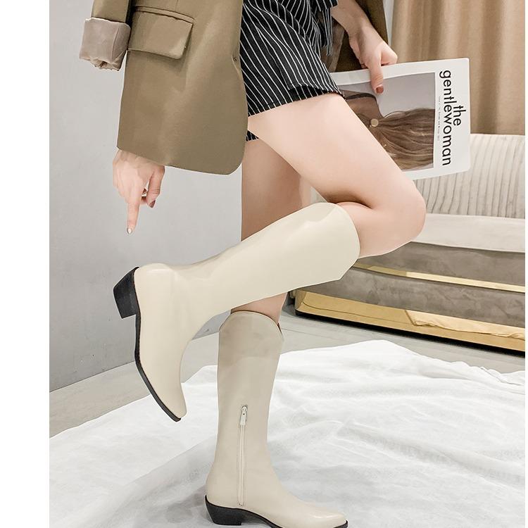 Autumn and Winter V-mouth Western Cowboy Boots Retro Side Zipper Pointed High Knight Boots Thick Heel But Knee Boots