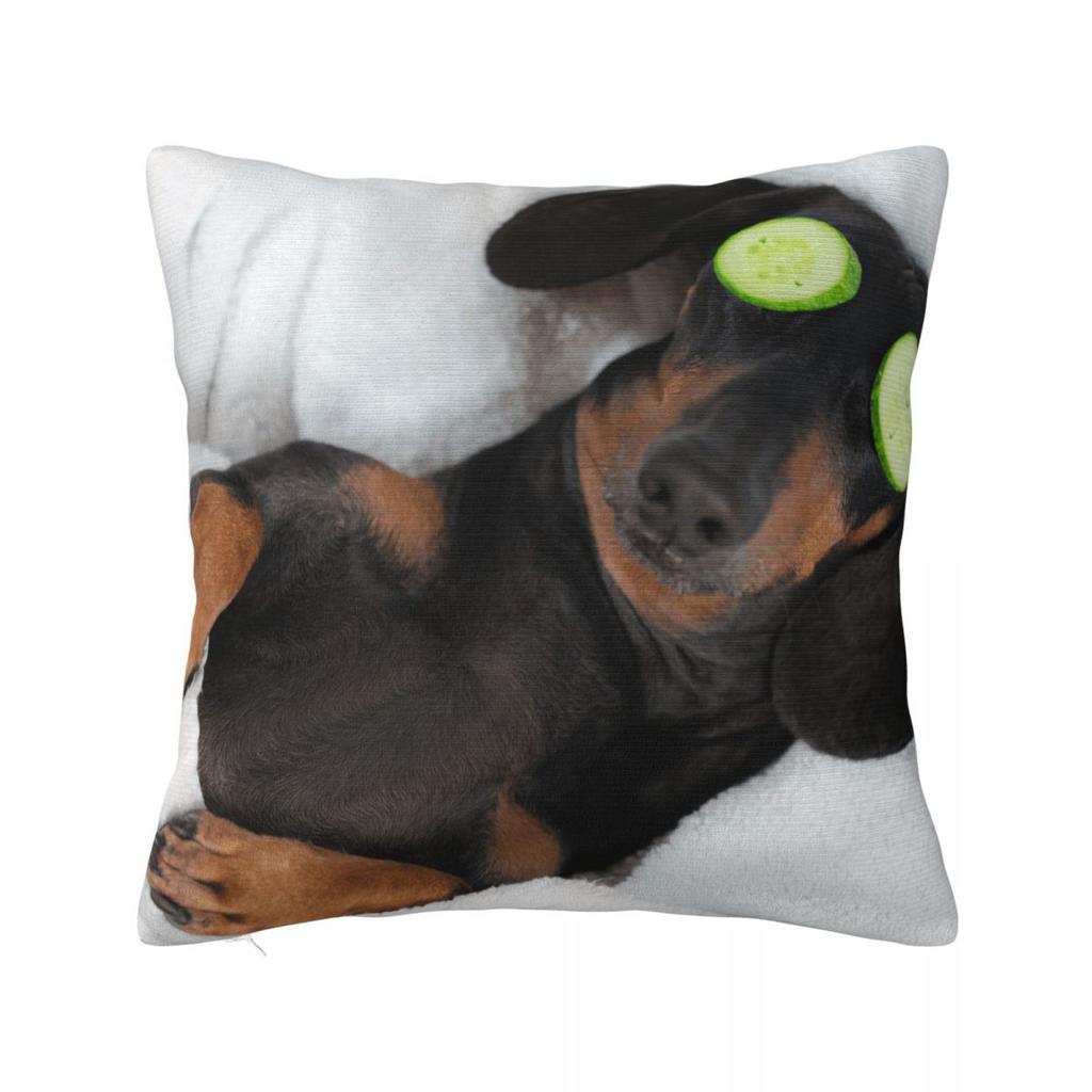 Dachshund Pillow Cases Gift for Animal Dog Lover Cushion Covers Awesome Polyester Decorative Pillowcase for Home 18x18