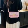 Foreign Order Advanced Texture Versatile Small Bag Women's Bag 2025 New Fashion Chain Small Square Bag Commuter Messenger Bag Tide