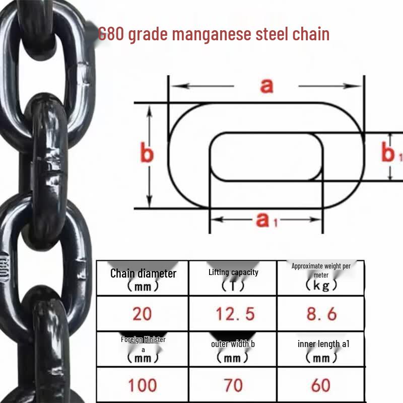 Qinfen Single-Leg Heavy Duty Lifting Chain Sling