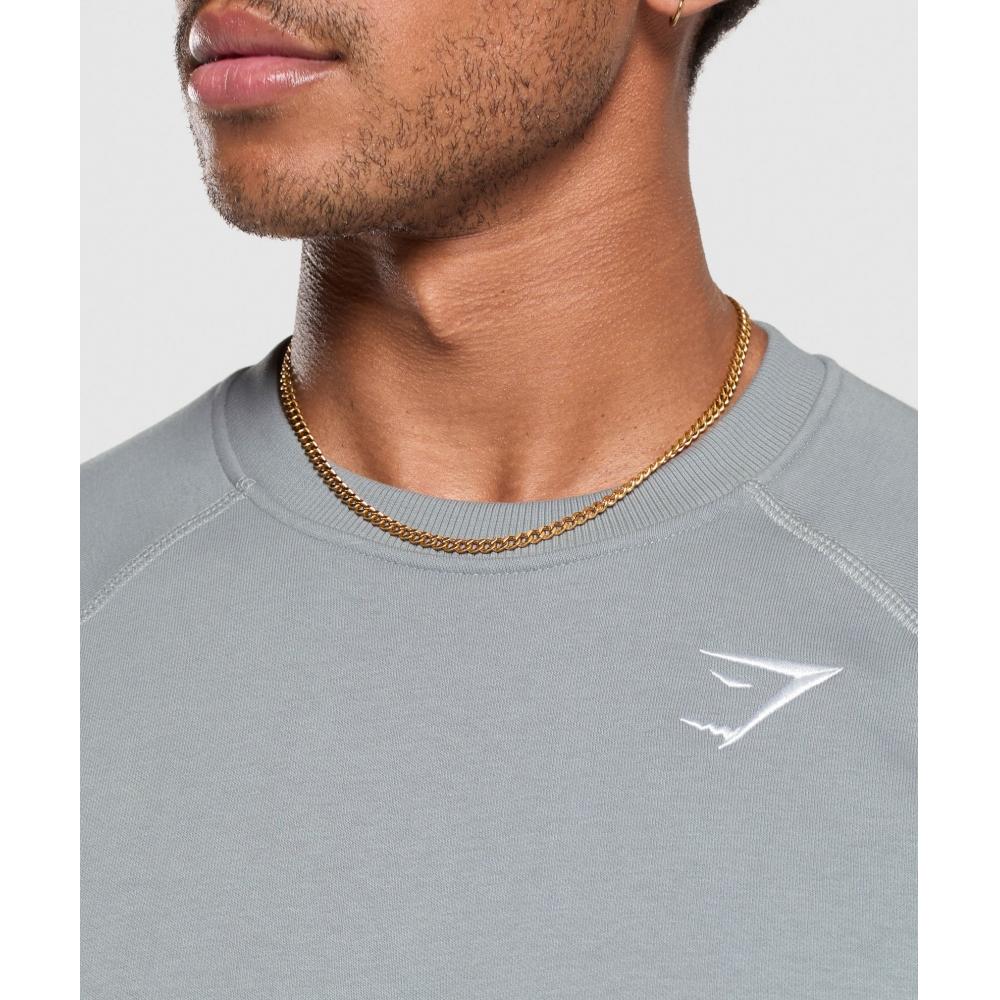 Gymshark Crest Crew Denim Grey A2a1v Gcqs