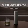 Titanium Vacuum Insulated Travel Mug With Tea Infuser 480ml Modern Slim Design Women Office Commute
