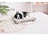 Activated Carbon Dog Ornament for Car Interior, Bamboo Charcoal Bag Decor
