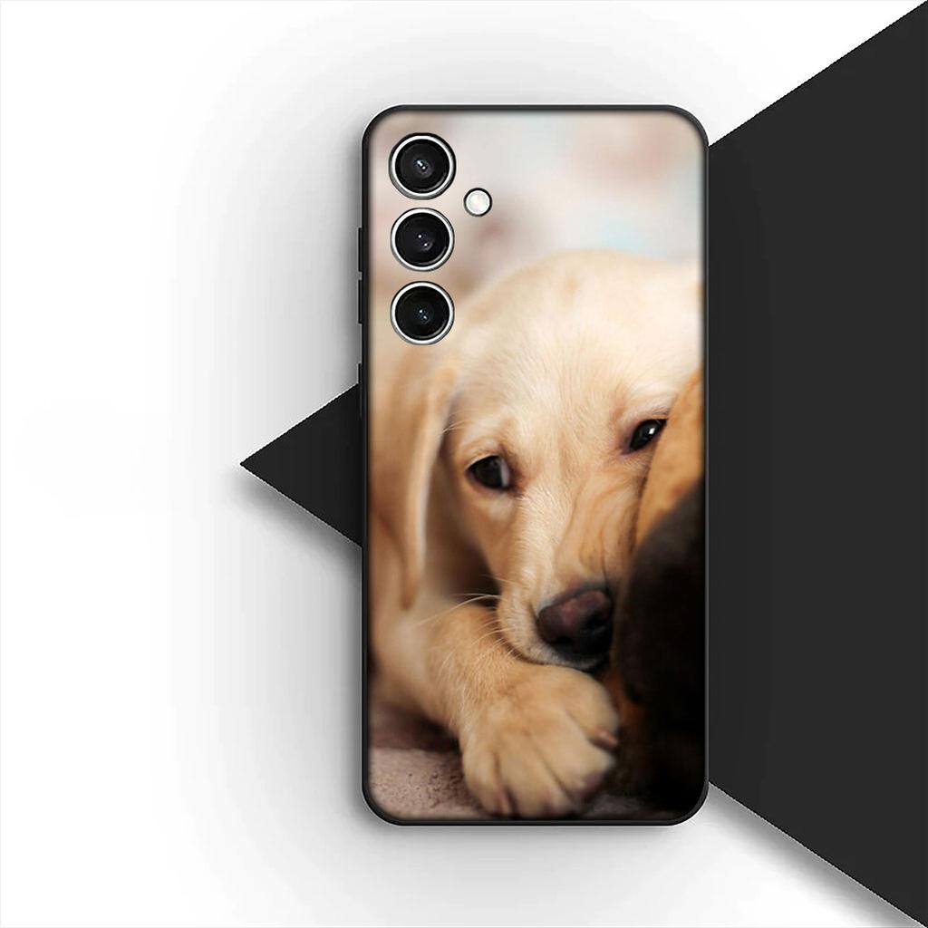 Golden Retriever Dog for Samsung Galaxy Note 20 Ultra 10 8 9 S10 Plus Lite S8 A70 A24 A25 S10E A21S A37 A57 A51 A7 Phone Case