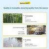 Banbu Natural Bamboo 3-Ply Toilet Paper