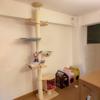 Solid Wood Cat Condo & Bed with Integrated Tree and Space-Saving Design for Large and Small Cats