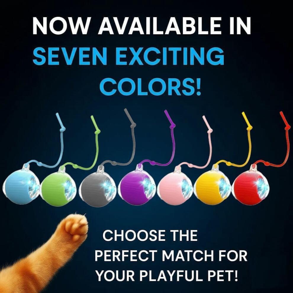 Durable Interactive Cat Toys for Indoor Cats, Rolling Ball Toy Compatible with Smart Automatic Chase Systems