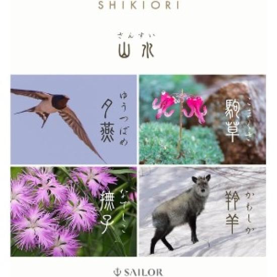 Sailor SHIKIORI SANSUI Fountain Pen YUTSUBAME MF Nib 11-2050-301