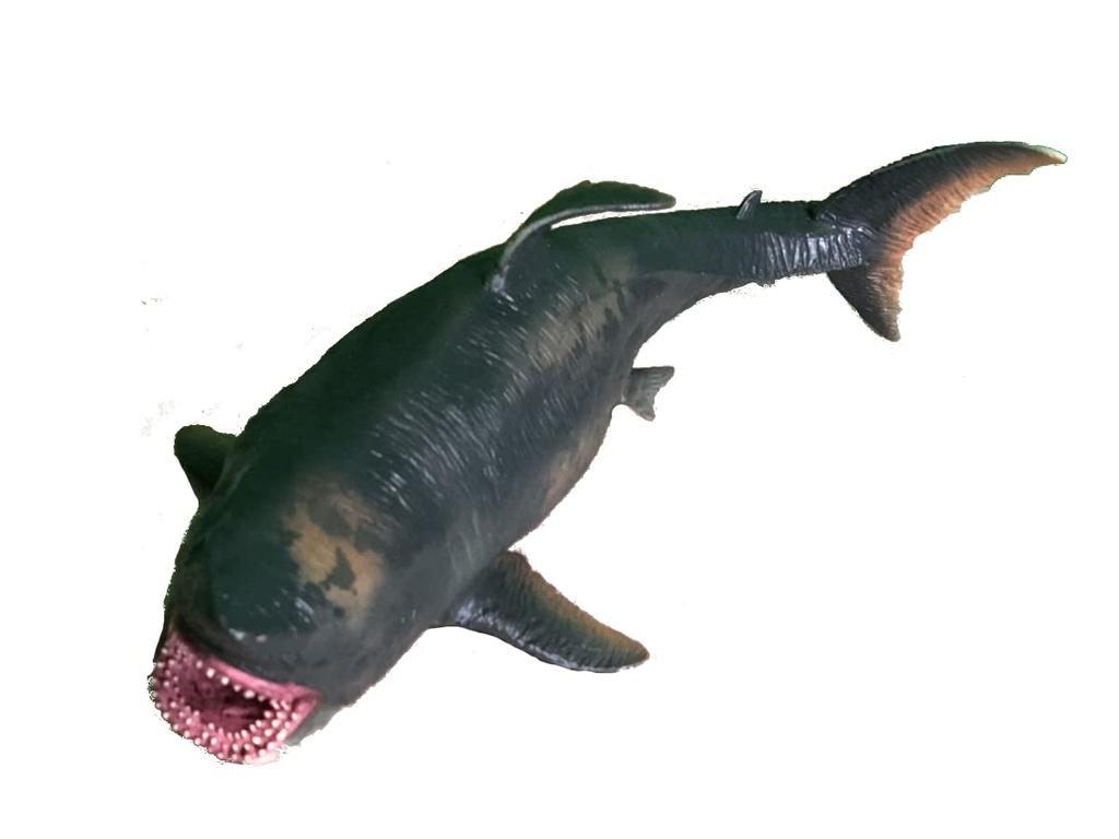 Crop Ancient Fish Figure Megalodon Impressive Size 25cm Long Dinosaur Model (Megalodon)