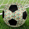 1pc Sports Equipment Foot-Friendly, Anti-Slip and Wear-Resistant, High Elasticity, size 5 Indoor/Outdoor Universal Soccer Ball/Football Q260863